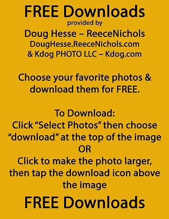 Free-downloads-how