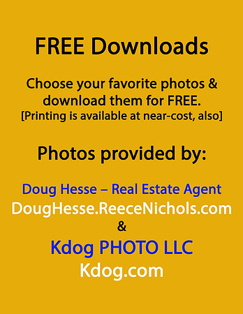 Free-Downloads_sponsor copy