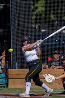 Softball