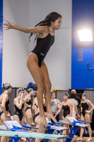 Dive 1-23-24