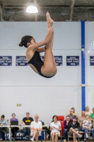 Swim & Dive
