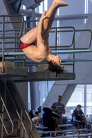 SMN Swimming 1-31-25